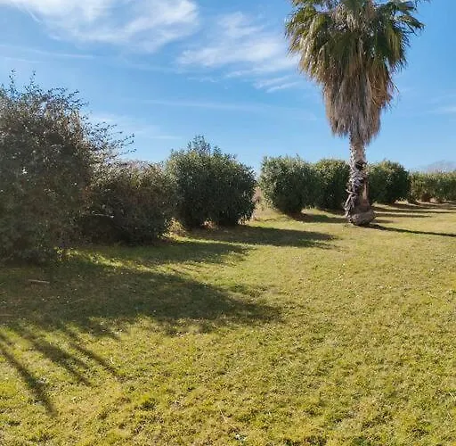 En Rez-de-chaussee Et Terrasse Sans Vis A Vis Daire